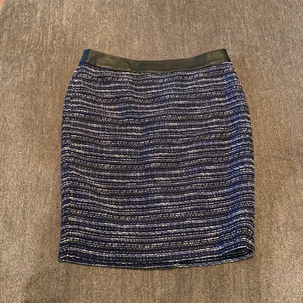 the Limited women’s skirt; size 10